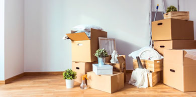 Move In/Out